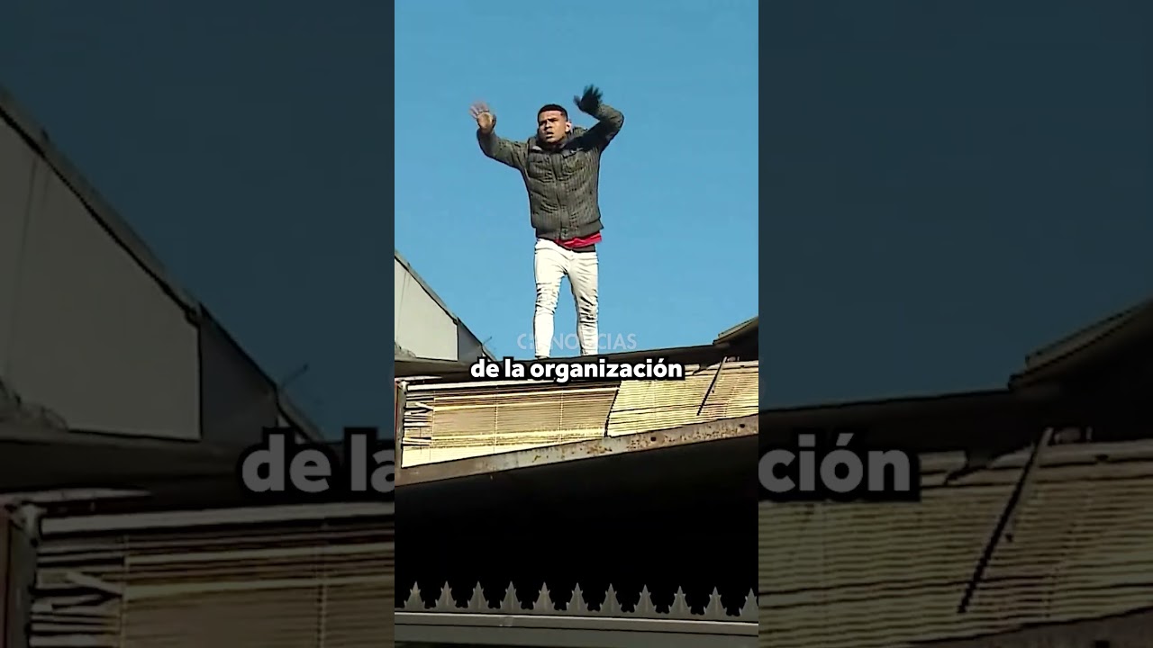 Narco usaba todo un block para cultivar marihuana que luego vend&iacute;a en local de Meiggs | REPORTAJE