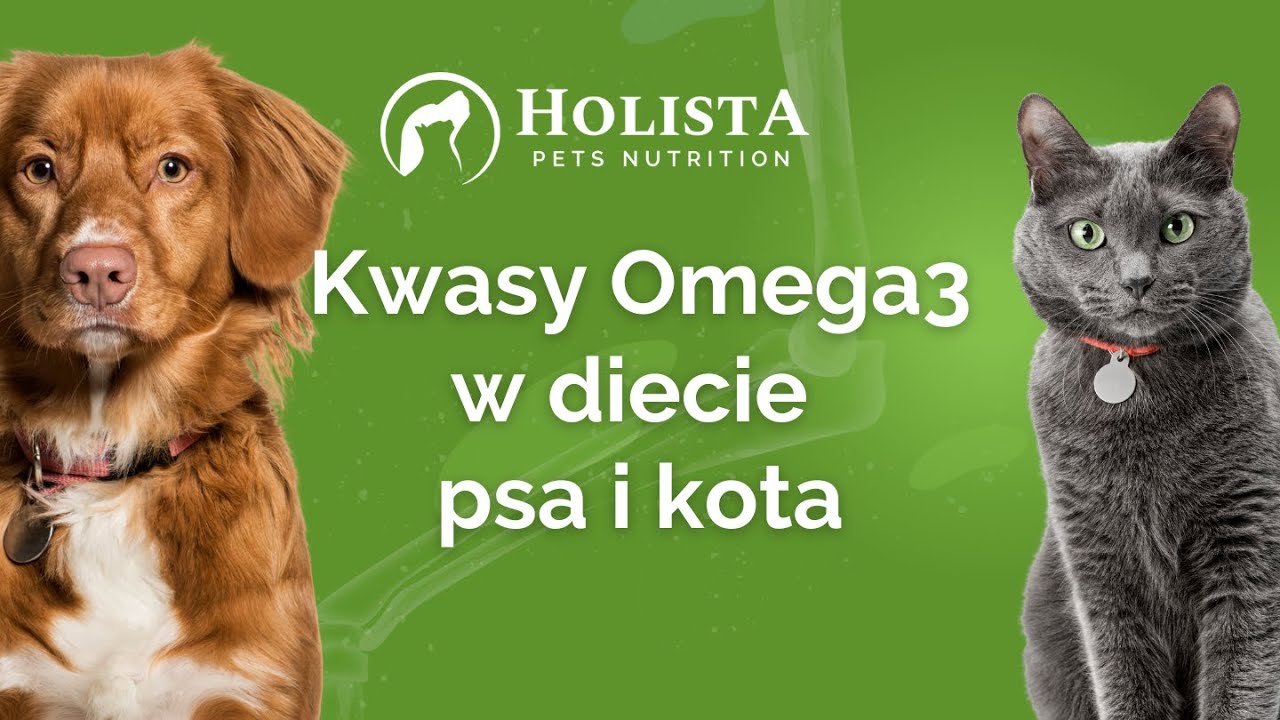 Suplementy OMEGA-3 -  niezbędne w diecie psa i kota? | 2. Webinar Agnieszka Cholewiak - Góralczyk