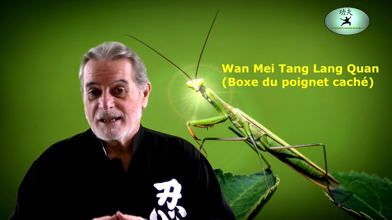Kung Fu de la Mante Religieuse