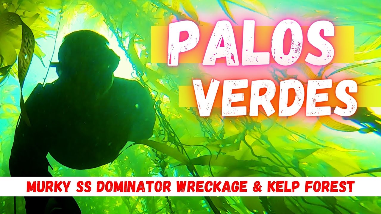 Snorkeling Diving Palos Verdes, California ! SS Dominator Shipwreck