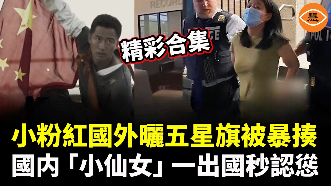 【精彩合集】小粉紅國外曬五星旗，被當地大漢暴揍；國内「小仙女」一出國，秒認慫！