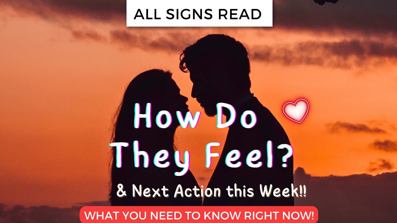 ALL SIGNS ♥️ Their current FEELINGS & Next MOVE this Week!  Mid November Tarot love #allsigns