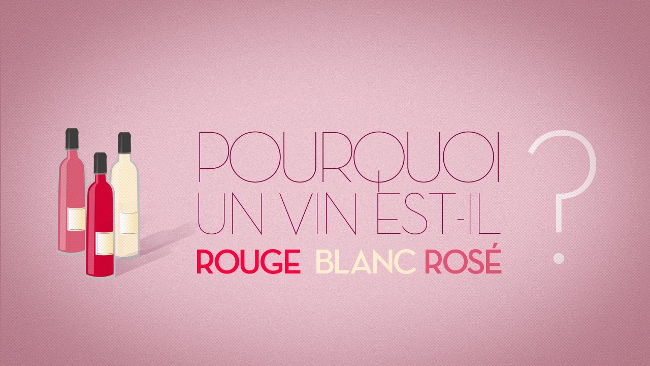 Pourquoi un vin est-il rouge, blanc, rosé ? - toutlevin.com