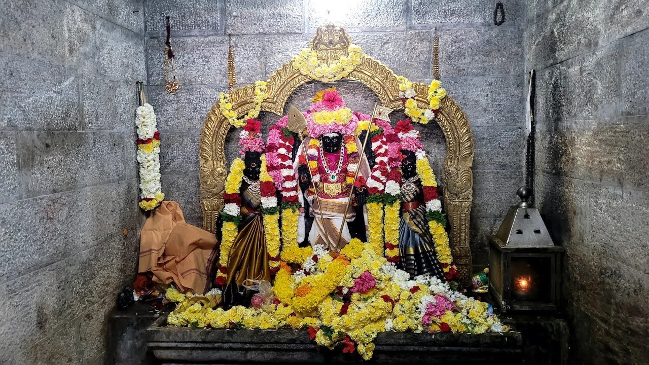 பாணாவரம் ஸ்ரீ சக்திவேல் முருகன் இலயத்தில் தைபூசம் திருவிழா|vvnews|oorseithi|விவிநியூஸ்|ஊா்செய்தி|