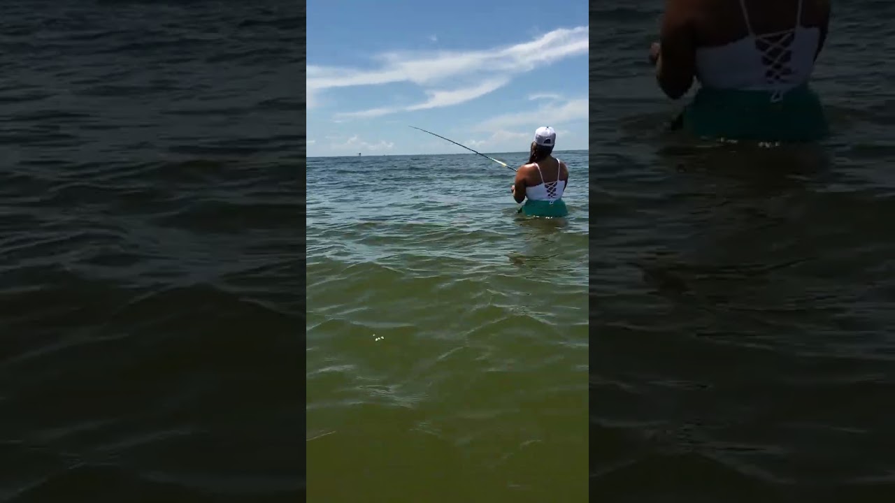 Surf Fishing In Grande Isle Louisiana w 