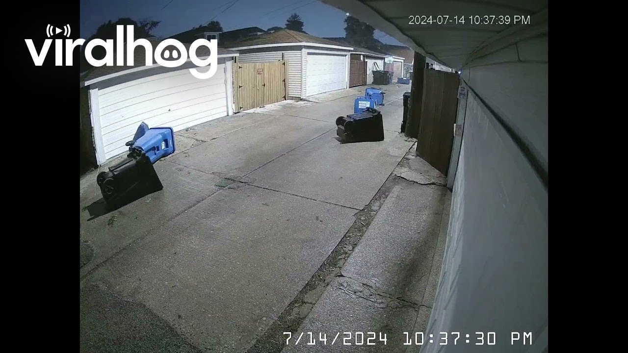 Chicago Storm Blows Garbage Cans Away || ViralHog