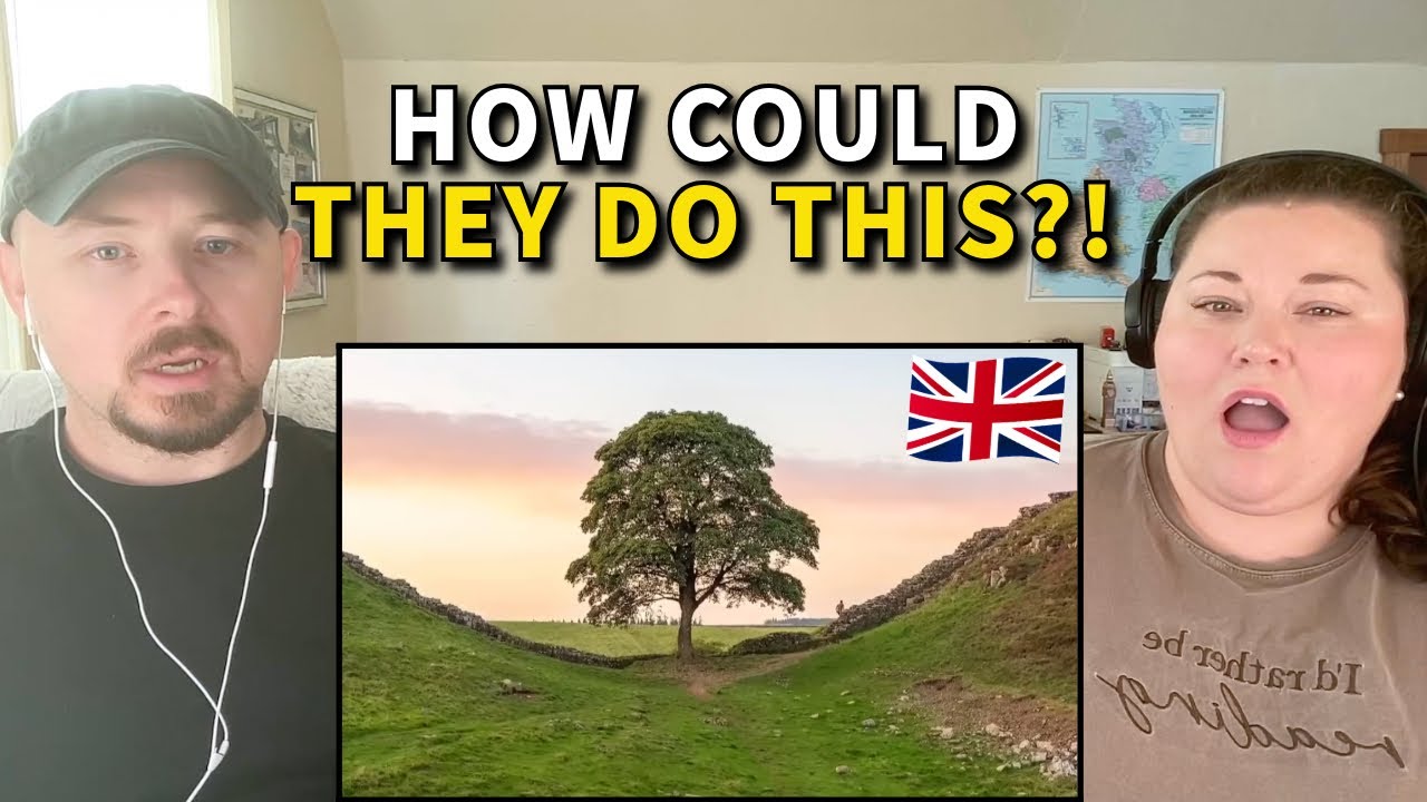 Americans React: Sycamore Gap Tree — The Night They Cut It Down