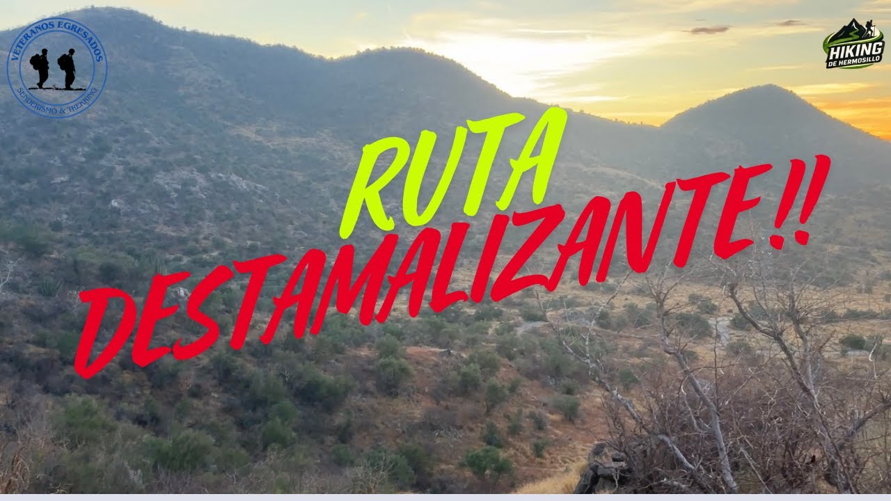 81.- RUTA DE DESTAMALIZACION