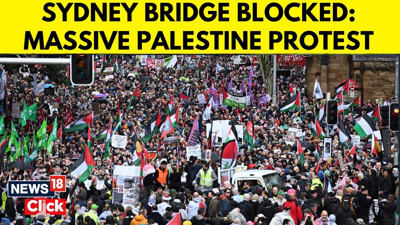 Sea Of People March Across Sydney Harbour Bridge Calling For An End To Killing In Gaza | N18G