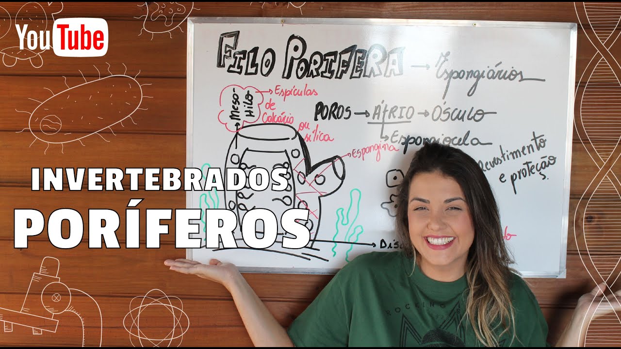 Invertebrados - Poríferos  🐵
