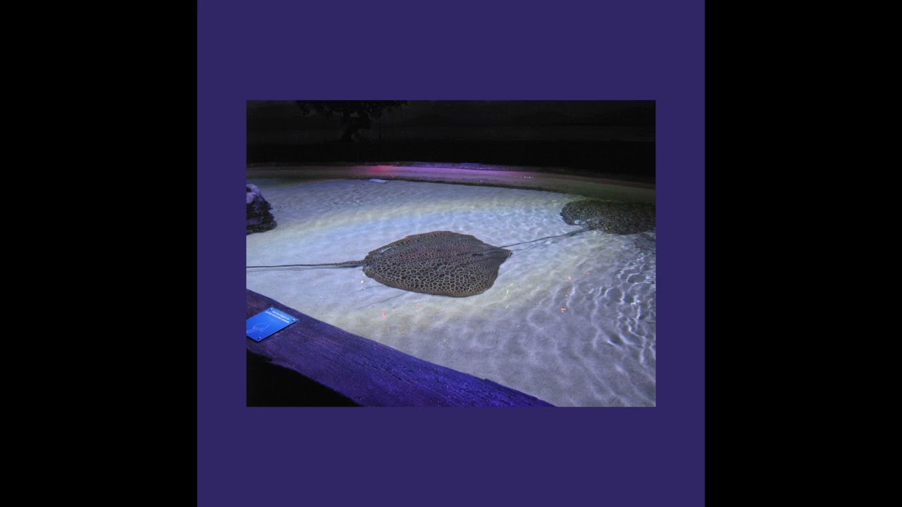 Glimpse of Us (Joji Cover)