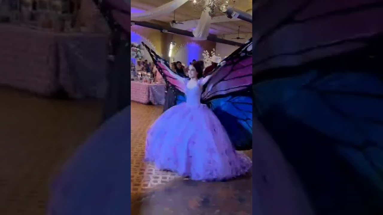 beautiful butterfly 🦋💫