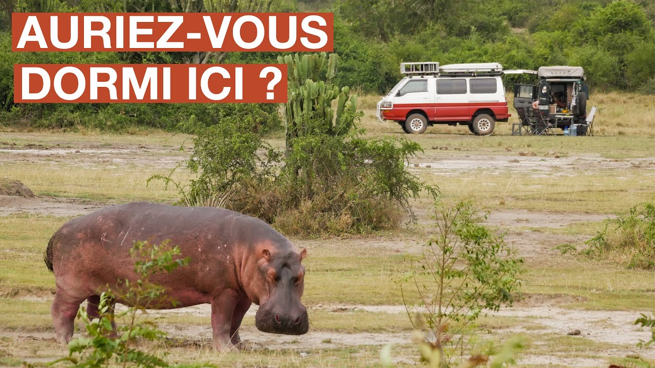 20. Dormir dans le bush ! 🦛🐘🐆 (Safari en autonomie en Ouganda)