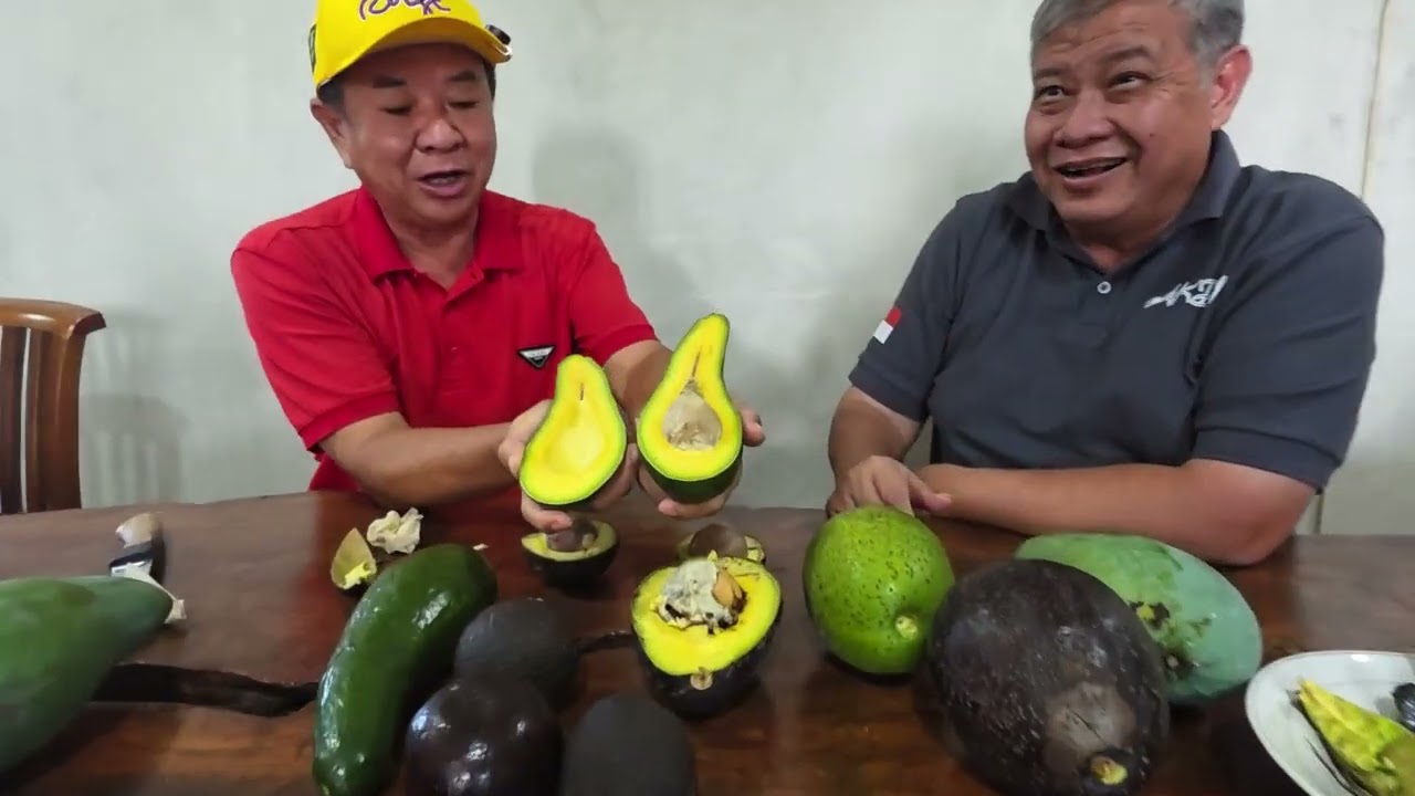 KALAU MAU TANAM ALPUKAT JENIS INI YANG PALING PAS