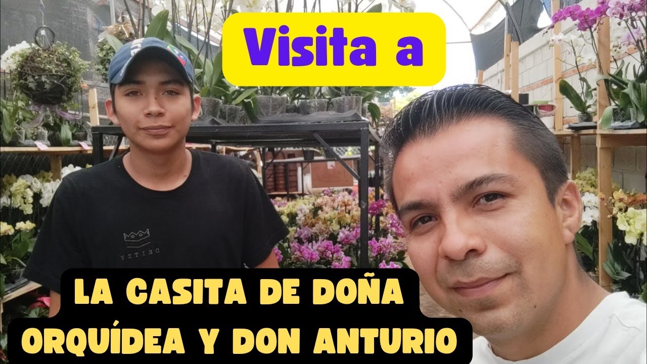 Visita aLa Casita de Doña Orquídea y Don Anturio. #orchids