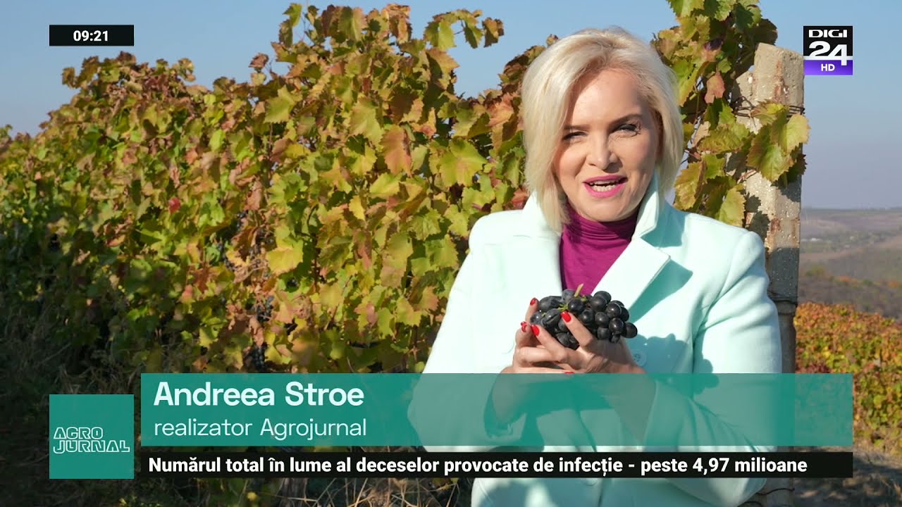 Locul I la vinurile roșii. O cramă de tip boutique a dat câștigătorul #Digi24