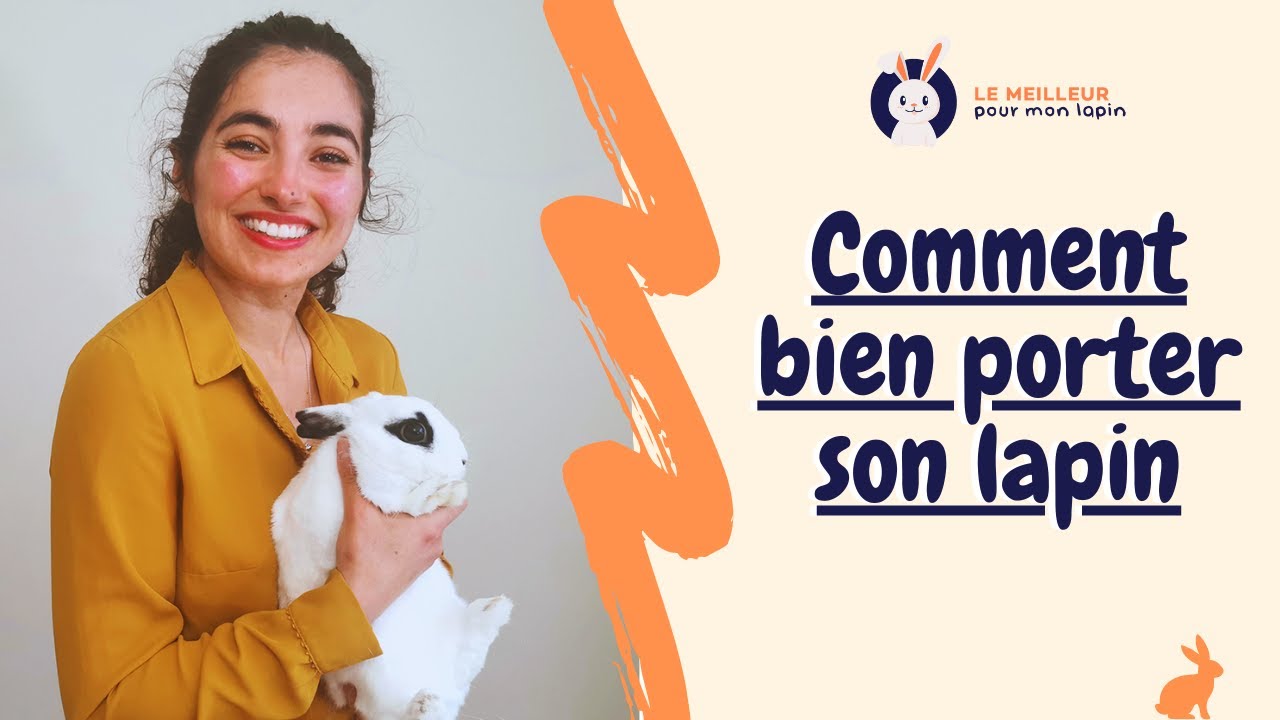 Comment BIEN porter son lapin ? 🐰 Tous mes conseils 😇