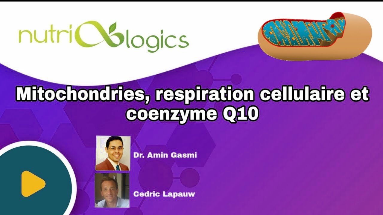 Mitochondries, respiration cellulaire et coenzyme Q10