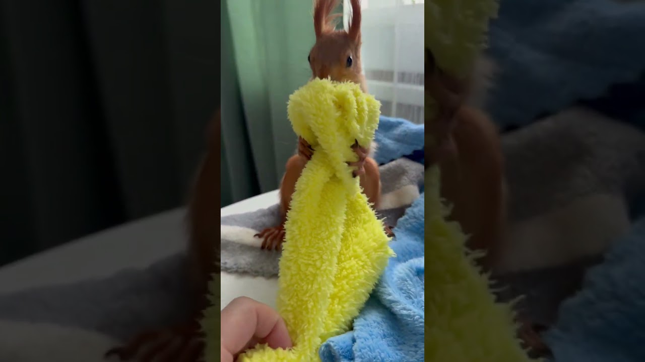 Груня в январе