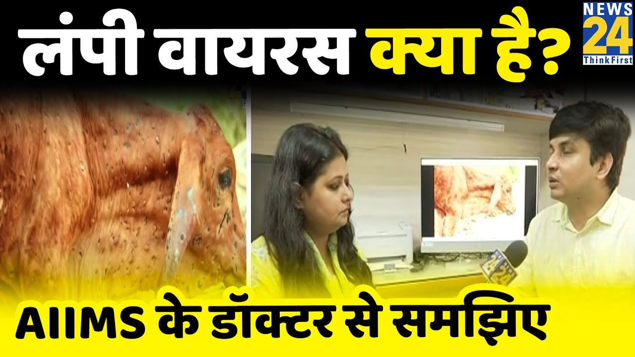 जानवरों में फैलने वाला Lumpy Skin Disease क्या है? AIIMS के विशेषज्ञ डॉक्टर से समझिए