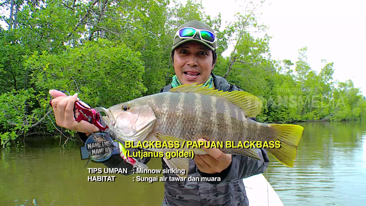 MANCING MANIA - PENGHUNI SUNGAI BATONANG (1/4/17) 3-2