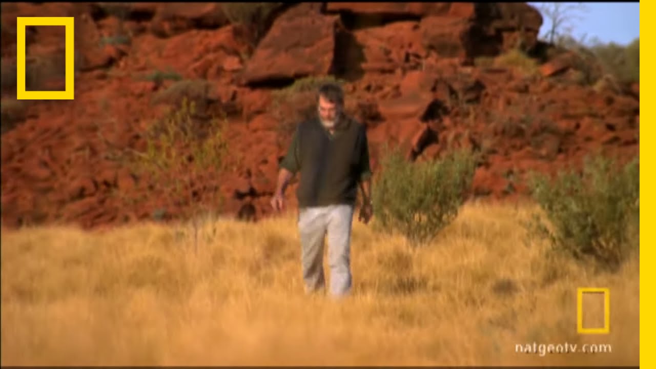 Hunting Megabeasts | National Geographic