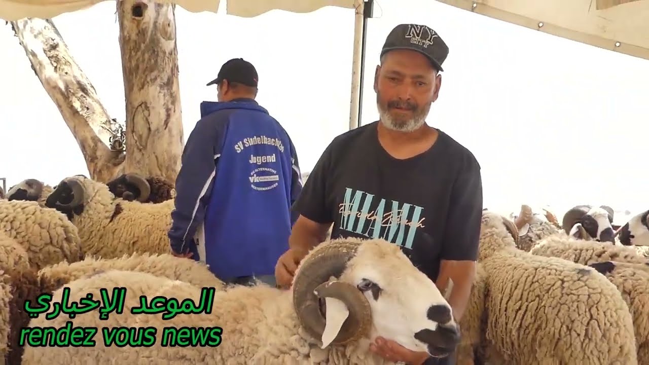 جولة في سوق غزالة وفكرة على أسعار العلوش ومشاغل الأهالي