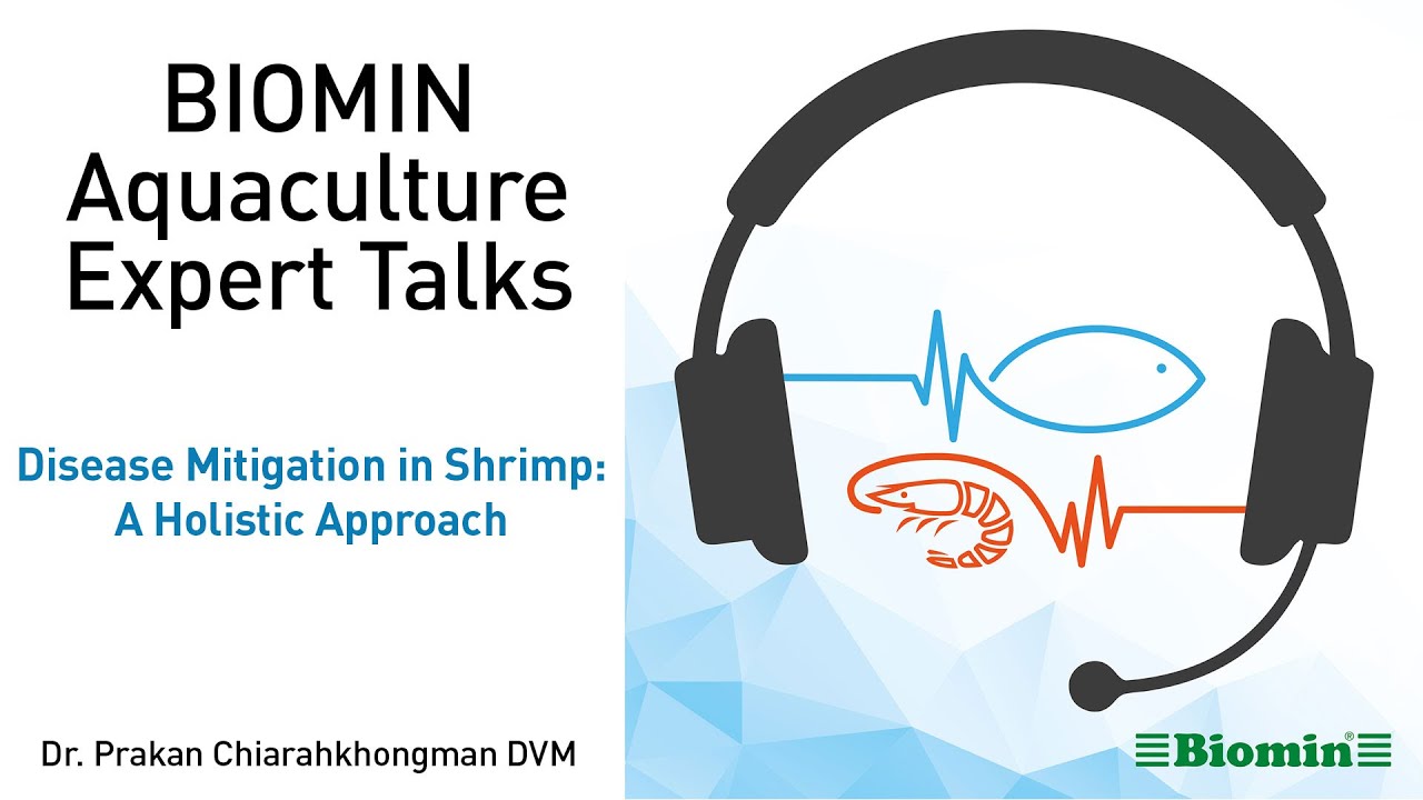 BIOMIN Aquaculture Expert Talks: Disease Mitigation in Shrimp - A Holistic Approach