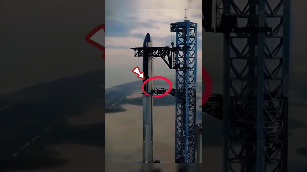 Starship vs. Human Scale: Envisioning Our Future in Space 🚀 | Size & Perspective