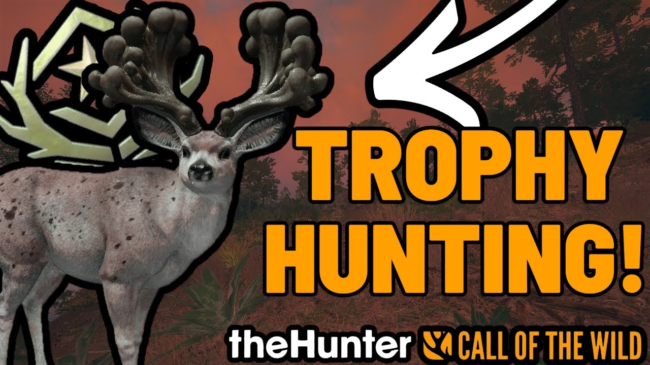 TROPHY HUNTING & GRINDING LIVE! | theHunter: Call of the Wild