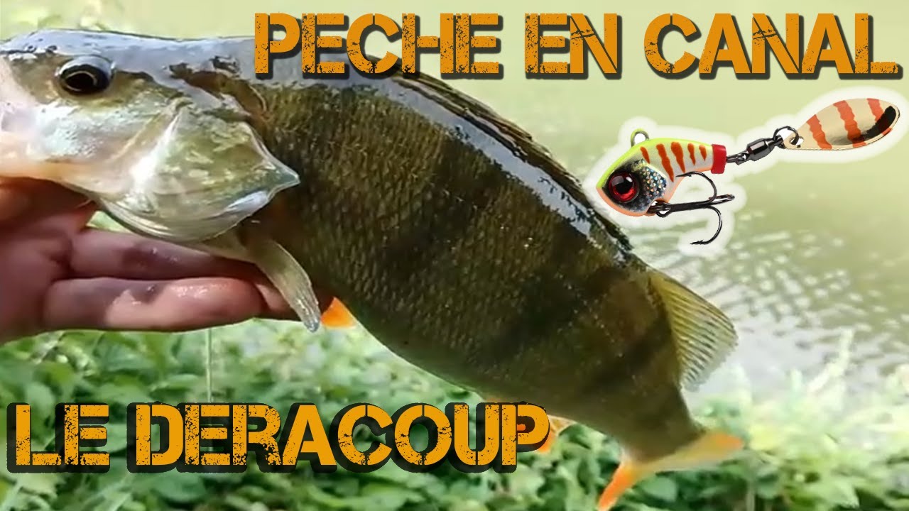 Le DERACOUP Mon LEURRE favoris pour le PowerFishing