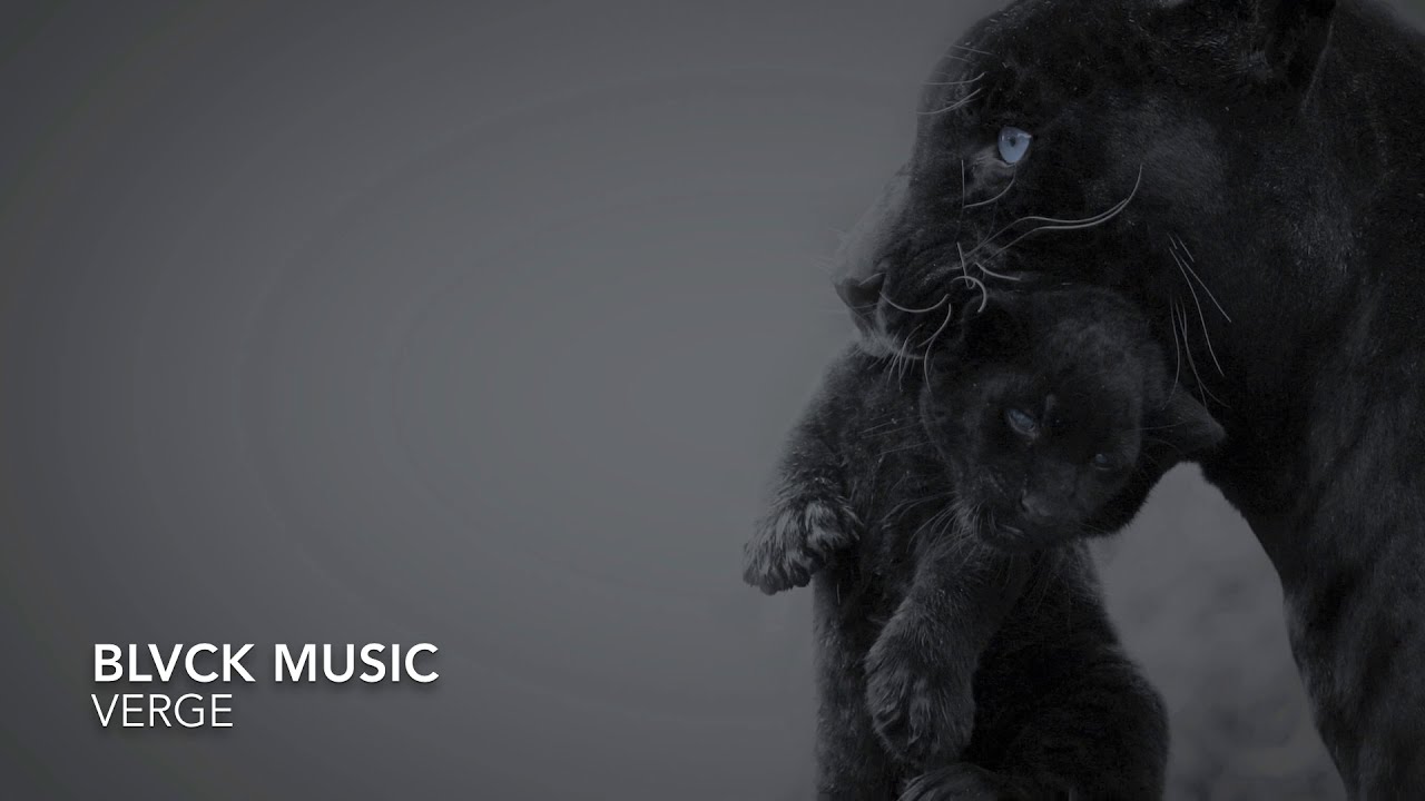 VERGE [Chipmunk remix]