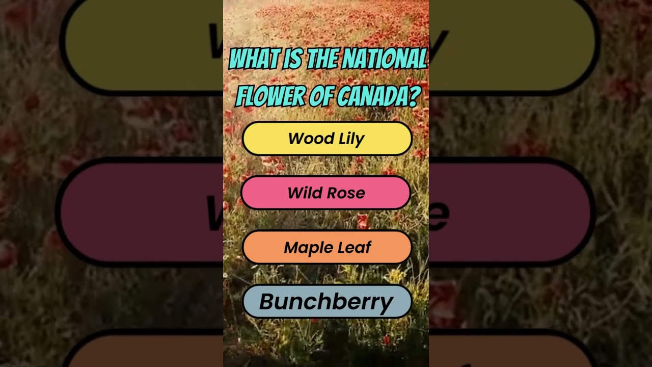 Canada's National Flower