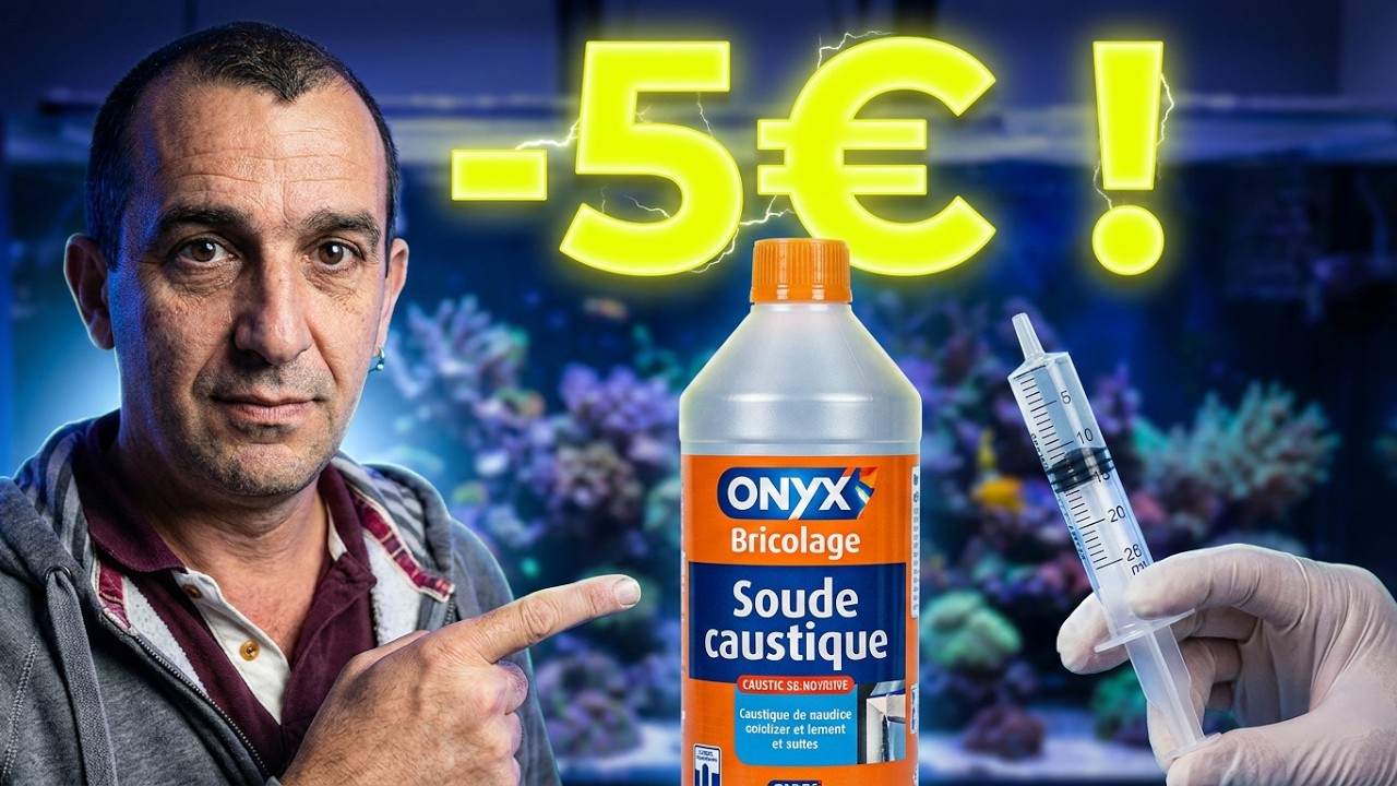Comment SUPPRIMER des CORAUX INVASIFS (sans détruire le bac) ?