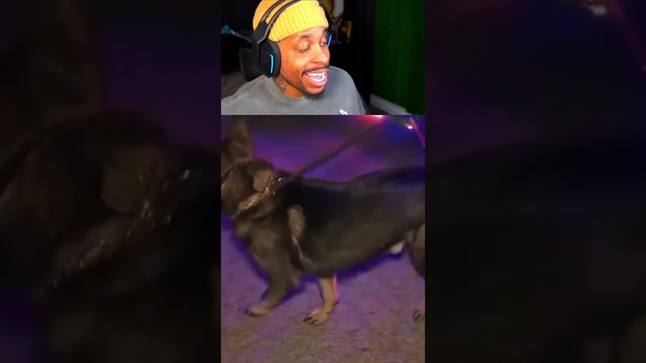 😂 Похоже, я ошибалась насчет него.