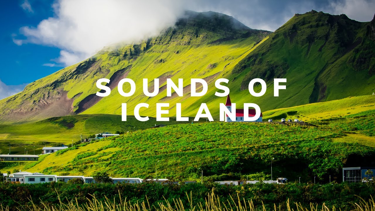 BEROLIGELSE ❯ Islands Vind og Havfuglenes Sang for Krop, Sind og Ånd 🌬️🐦 LYDENE AF ISLANDSK NATUR