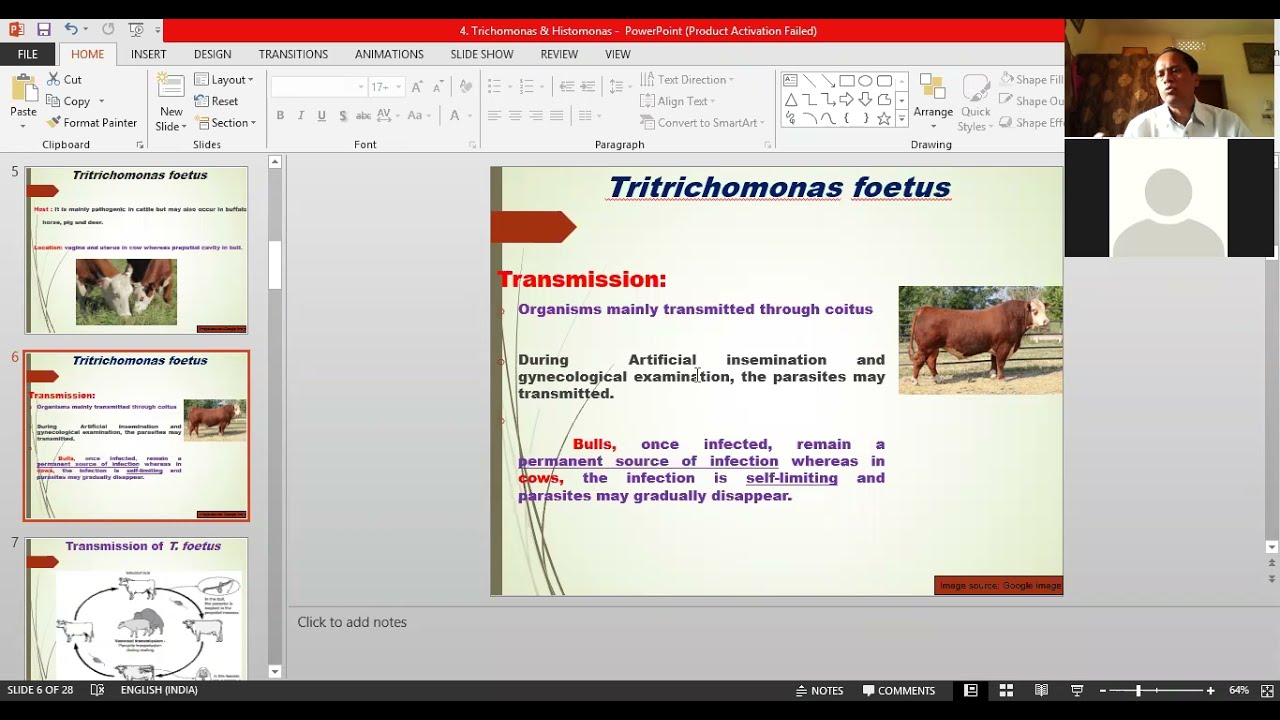 Trichomonas by Dr. Ajit Kumar, Dept. of Parasitology, BVC, Patna
