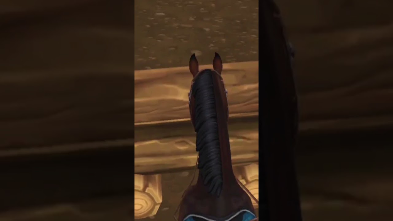 XC with Rusty🫶 (gone wrong😱) Game: Star Stable Online #horse #edit #starstable #starstableonline