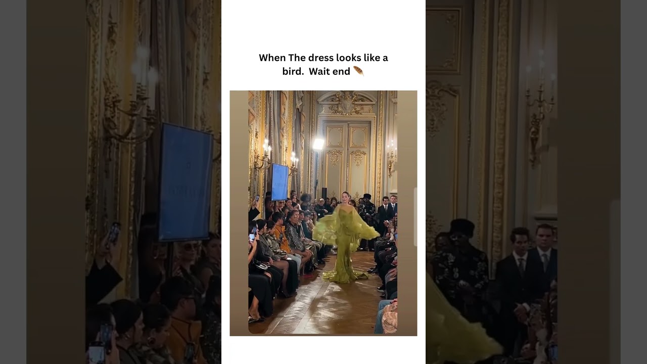 The dress looks like a bird. 🪶 #luxuryfashion #parisstyle #fashion #style #fashiongoals