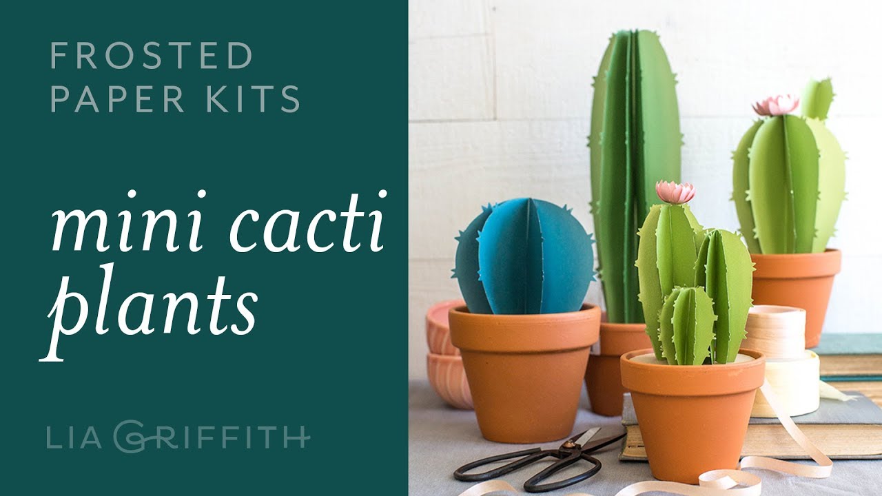 Frosted Paper Cactus: Easy to Use Paper Flower Kit for Beginners (full tutorial)
