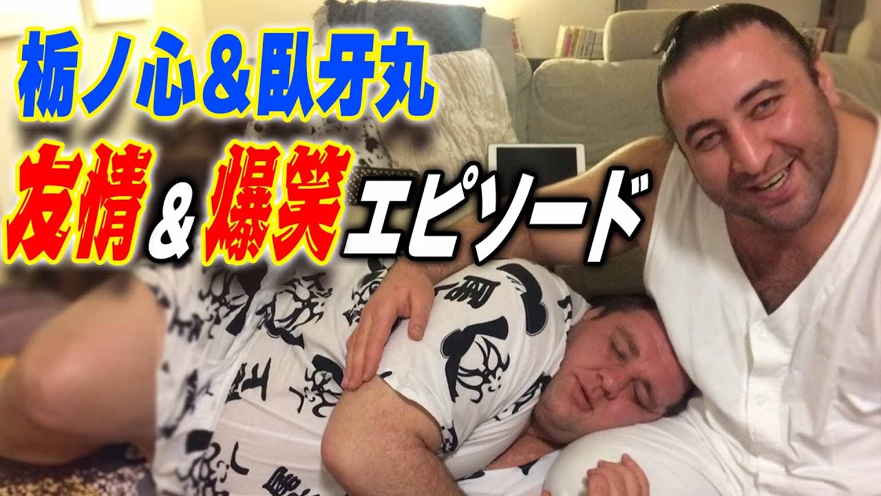 外国人力士のプライベート！栃ノ心＆臥牙丸！知られざる友情＆爆笑エピソード