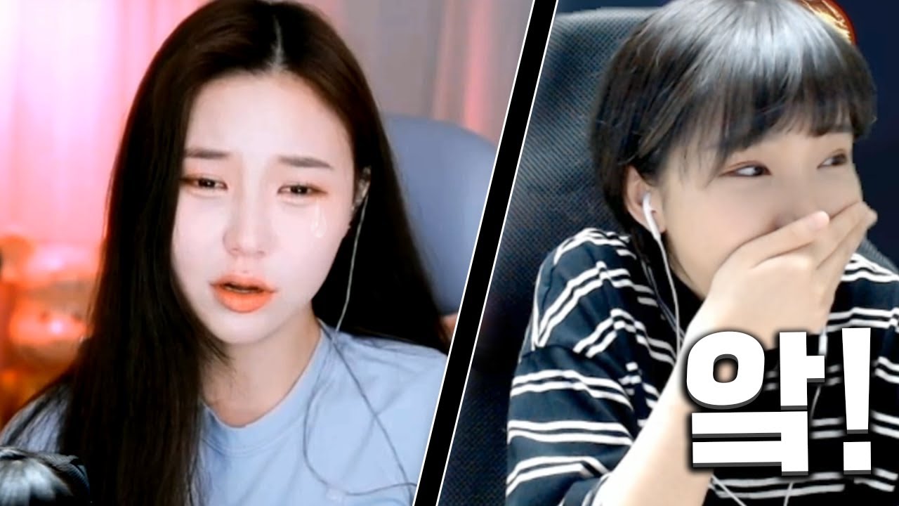 화정이를 울렸습니다..