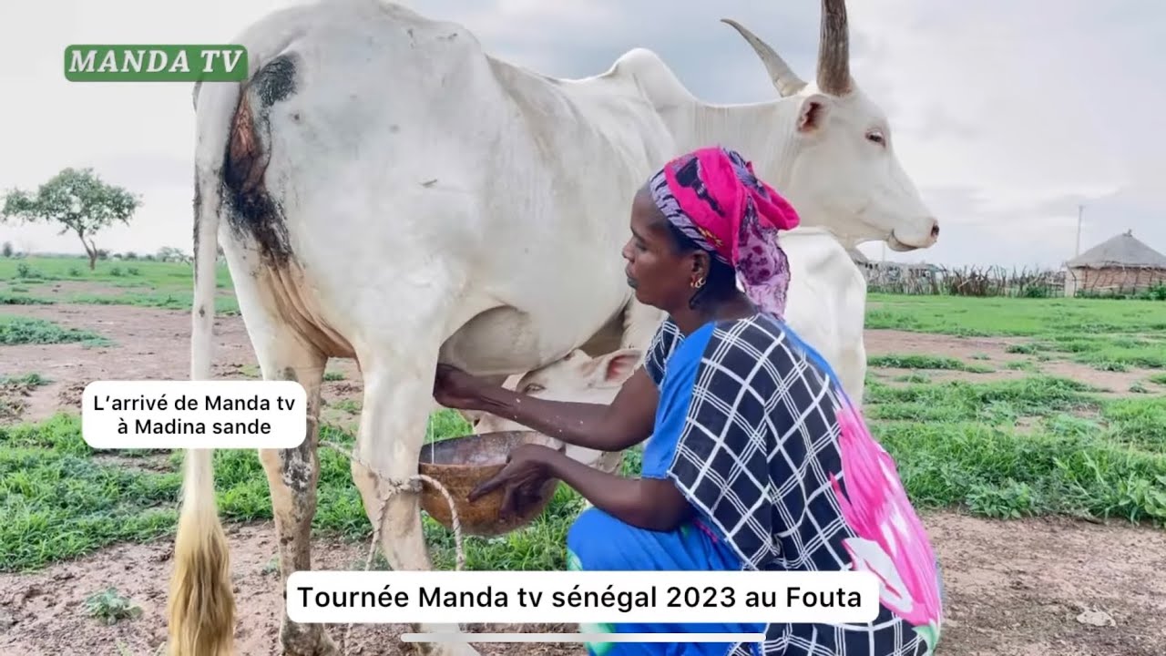 L’arrivé de Manda tv à Madina Sande : Tournée 2023 au Fouta