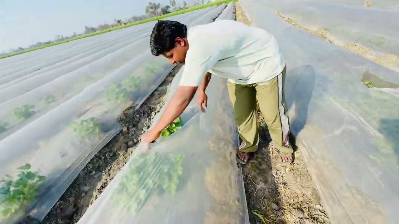 khan agriculture farm