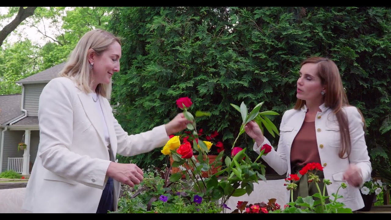 What Are the Benefits of a Positive Workplace Culture?