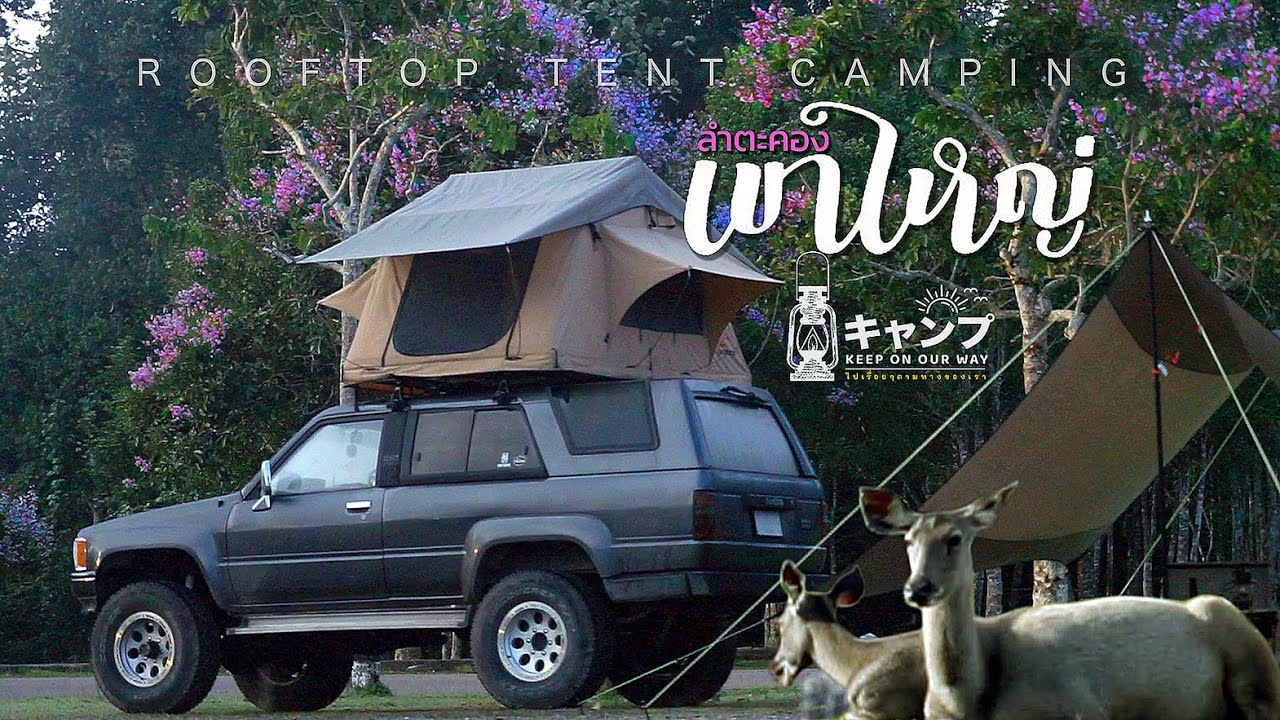 Camping on Rooftop Tent  with Nature Sound #กางเต้นท์ #เขาใหญ่ #ลำตะคอง