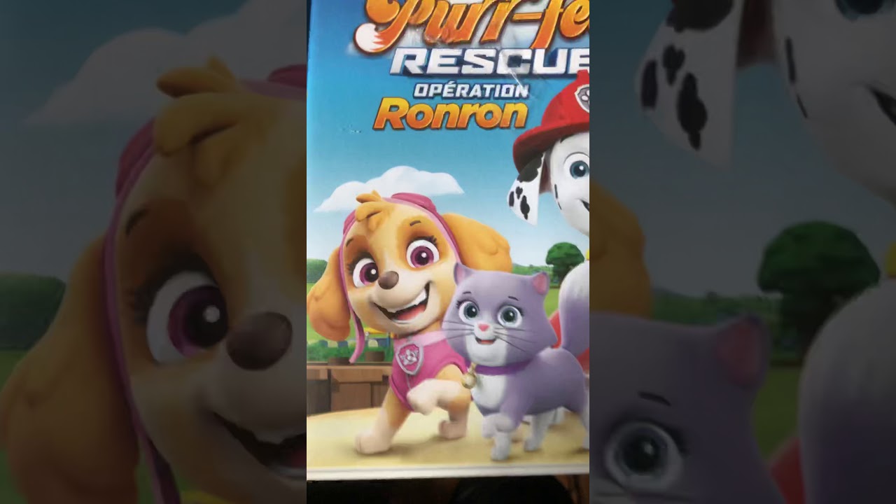 Paw patrol DVD collection update 2020