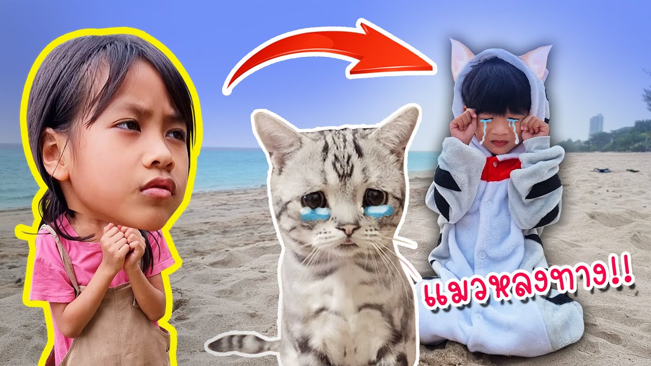 หนูดีเจอลูกแมวหลงทางที่ริมทะเลหัวหิน น่าสงสารมาก l หนูดีมาแล้วจ้า