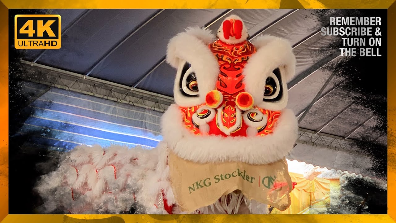 PRIMARY Traditional Lion Dance 2023 // 北海慈善醒獅團