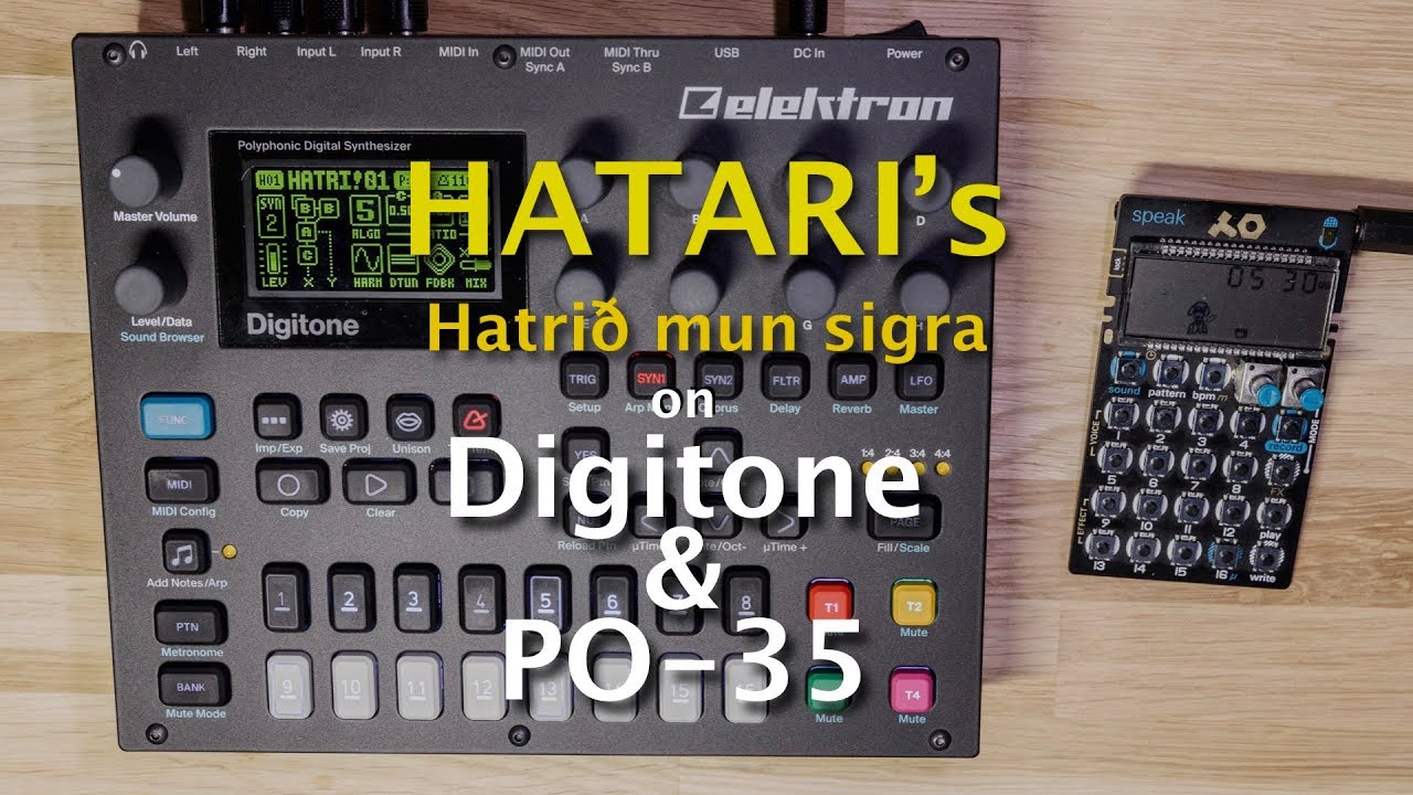 Digitone & PO-35 : Hatrið Mun Sigra [Hatari live cover] (Iceland Eurovision)